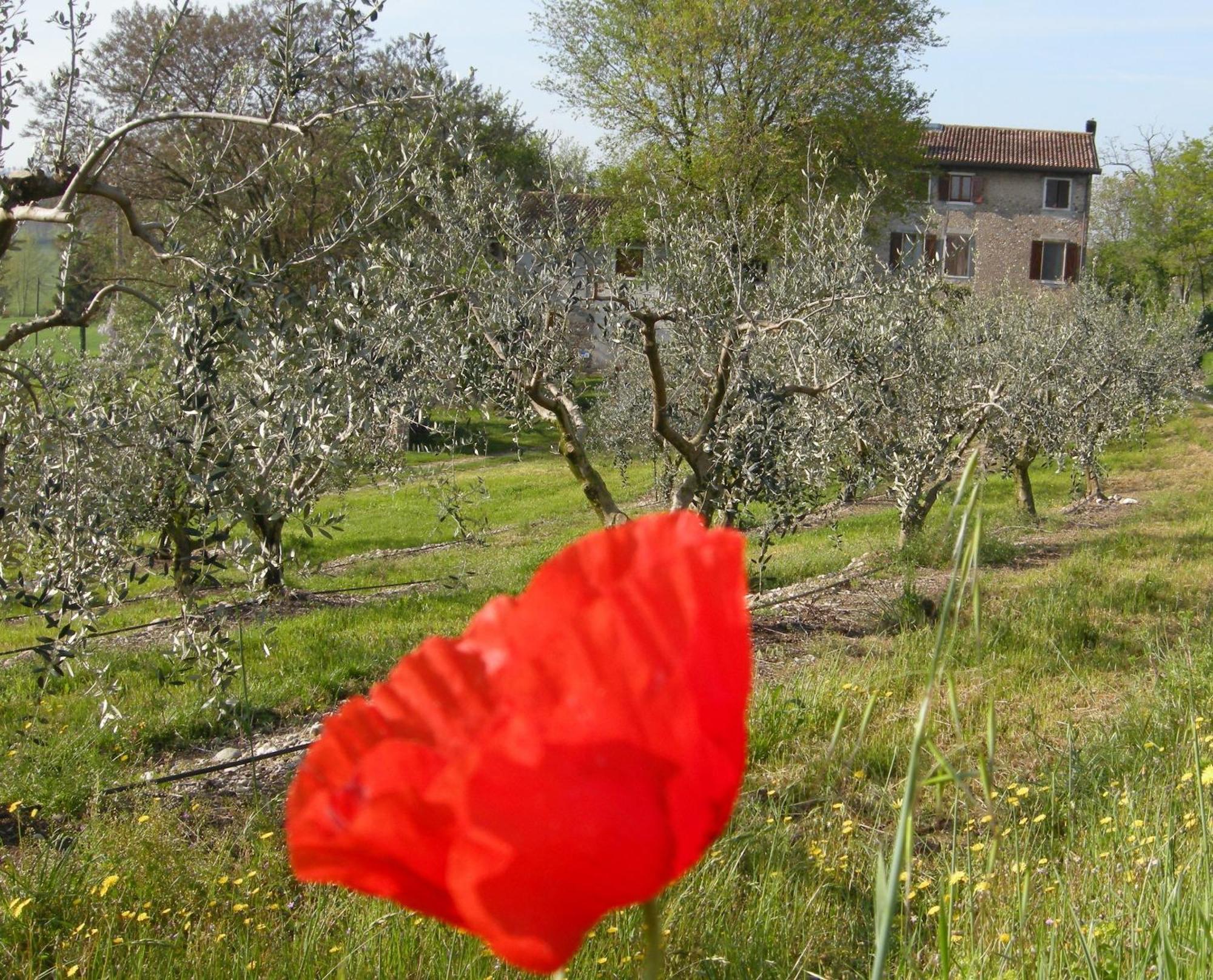 I Vigneti Bed & Breakfast Salionze Экстерьер фото